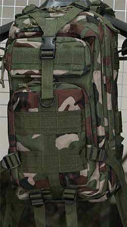 MOLLE 3P Assault Backpack – US Woodland