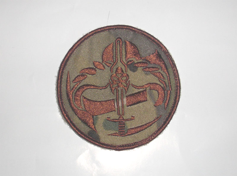 US Navy Seal Team 5 Patch