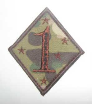 US Marines USMC 1st Marine Division Patch